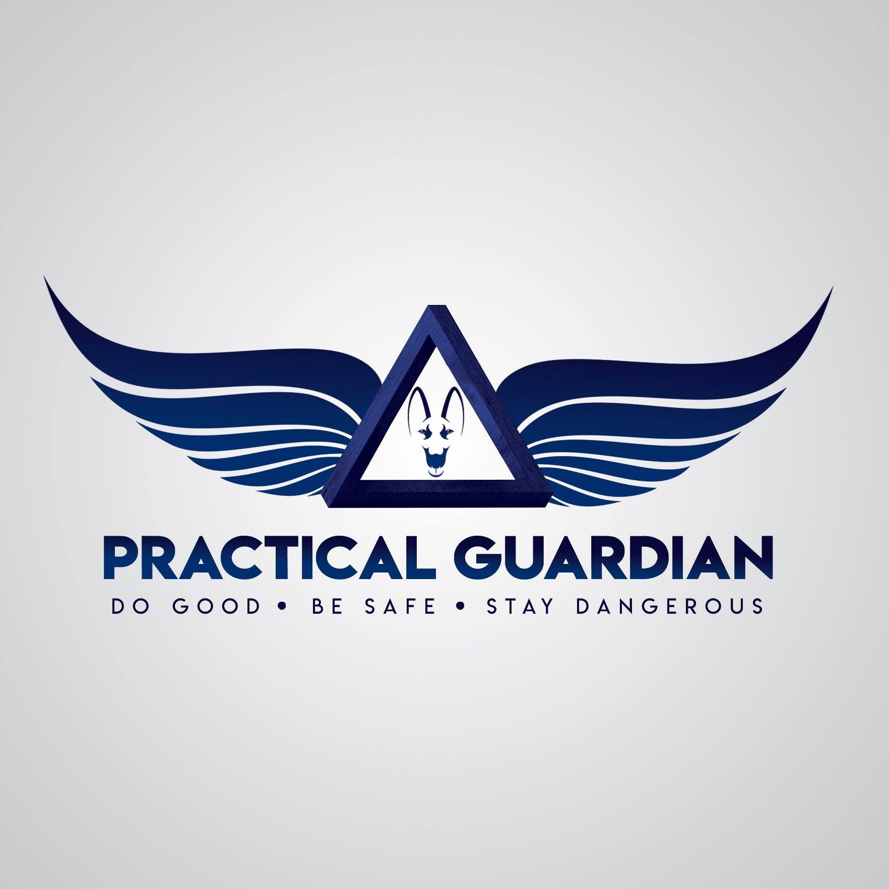 The Practical Guardian